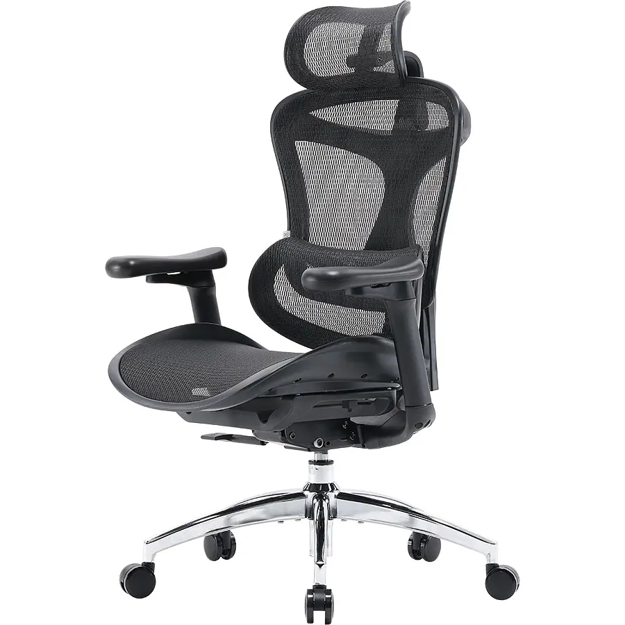 Кресло офисное Sihoo Doro C300L Black (DORO-C300L-A3-101) - фото 3