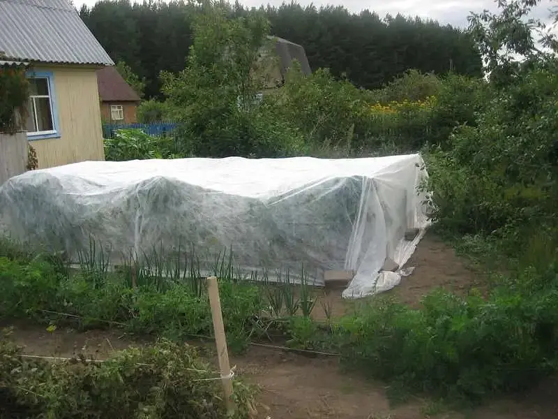Агроволокно для полуниці біле покривний матеріал спанбонд від бур'янів для городу 23 г/м2 3.2х10 м - фото 4