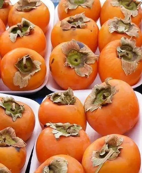 Саджанець Agro-Market Хурма на віргінській морозостійкій підщепі Хеакума вищий сорт! (44808) 1 шт. в упаковці - фото 6