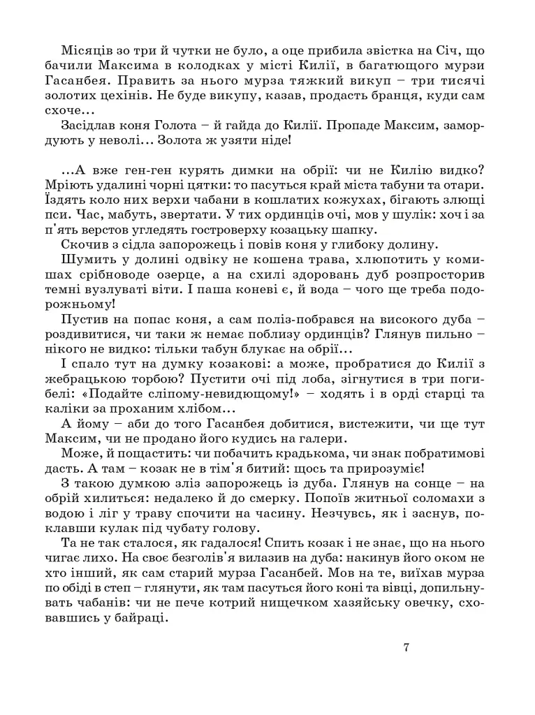 Козак Голота. Збірка оповідань за мотивами українських народних дум - фото 5