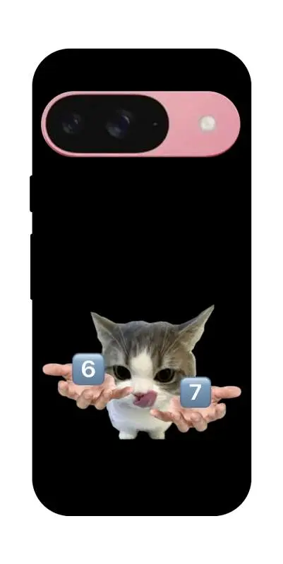 Чохол Demsky Six Seven cat для Google Pixel 9
