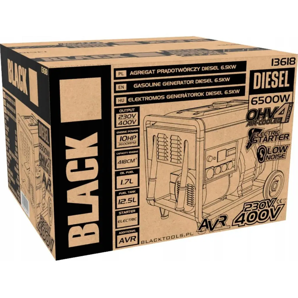 Генератор дизельний Black 230/400V 10HP 6500W (13618) [160477] - фото 12