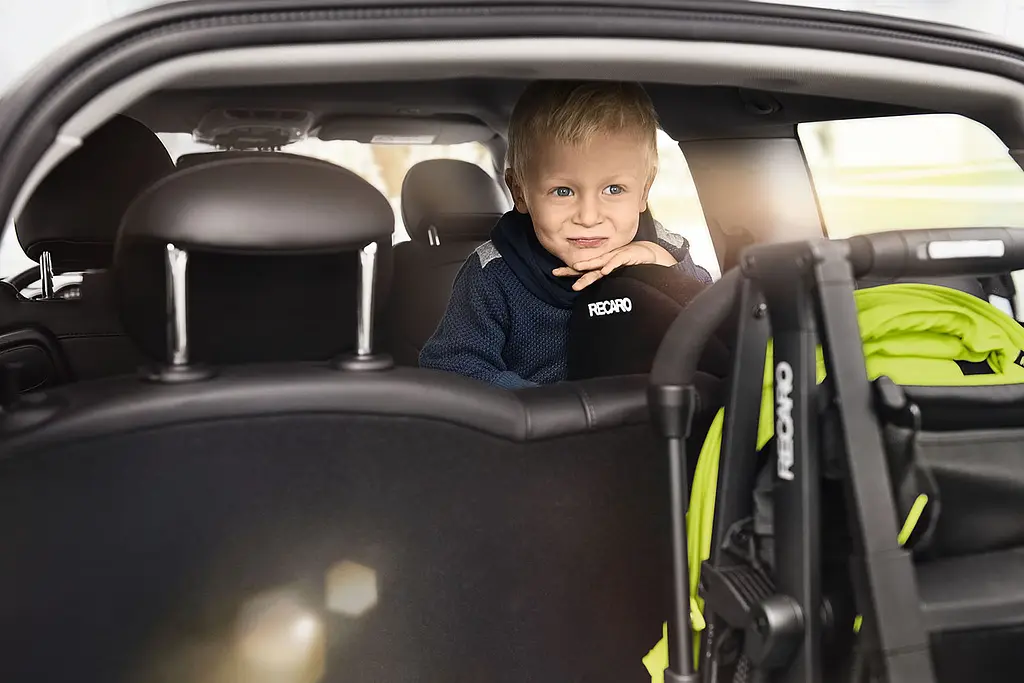 Прогулянкова коляска Recaro EasyLife Lime, салатовий з чорним (5601.21362.66) - фото 7