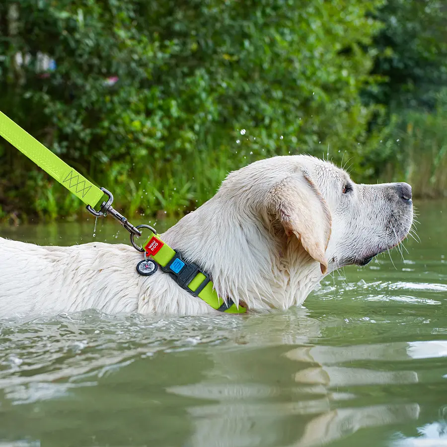 Нашийник для собак водостійкий Waudog Waterproof з QR-паспортом пластикова пряжка-фастекс Ш 25 мм Д 38-58 см салатовий - фото 5