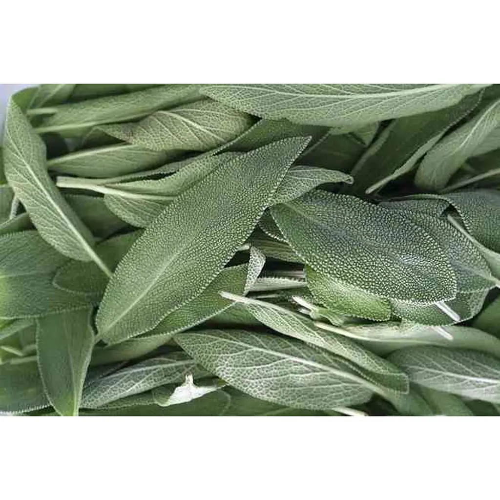 Леденцы от простуды Swiss Energy Herbal Lozenges Blister 20 herbs + Sage 12 травяных леденцов - фото 2