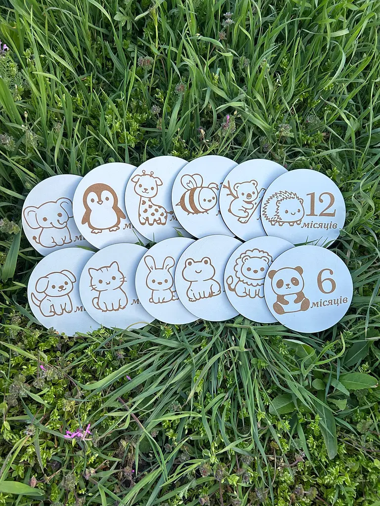 Набір дерев'яних круглих табличок для щомісячної фотосесії малюка, діаметр 11 см  - фото 2