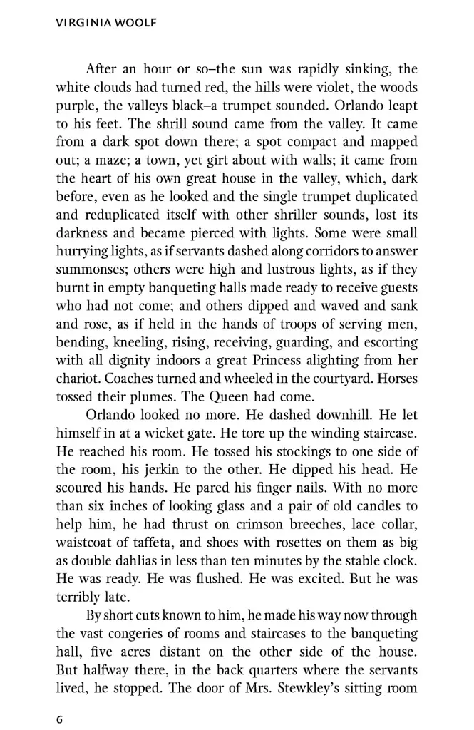 Orlando - фото 8