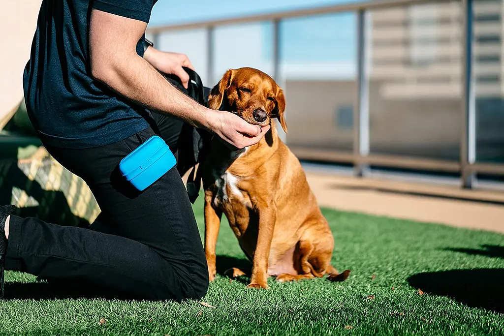 Силіконова сумка Dexas для собачих ласощів / тренувальних ласощів - фото 4