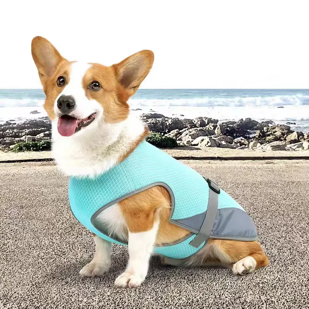 Літній охолоджувальний жилет для собак Derby Summer Dog Cooling Vest PA0115, M
