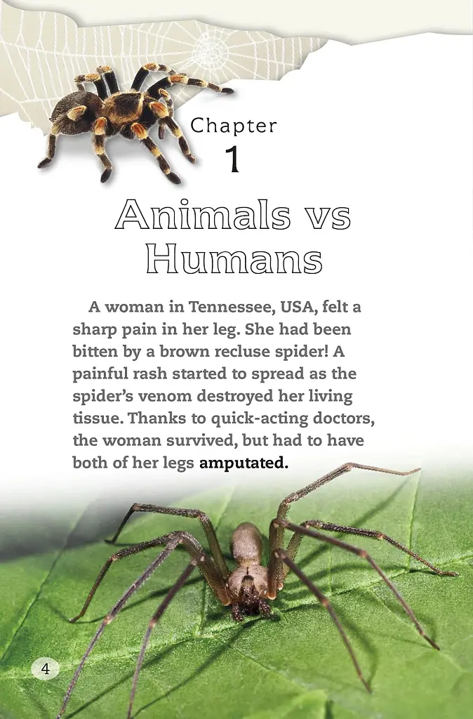 DK Readers 4: Spiders and Other Deadly Animals - фото 2