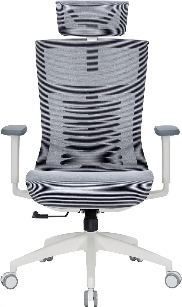 Офісне крісло OfficePro Balance OC620-W-DG-DG (OC620-W-DG-DG) - фото 2