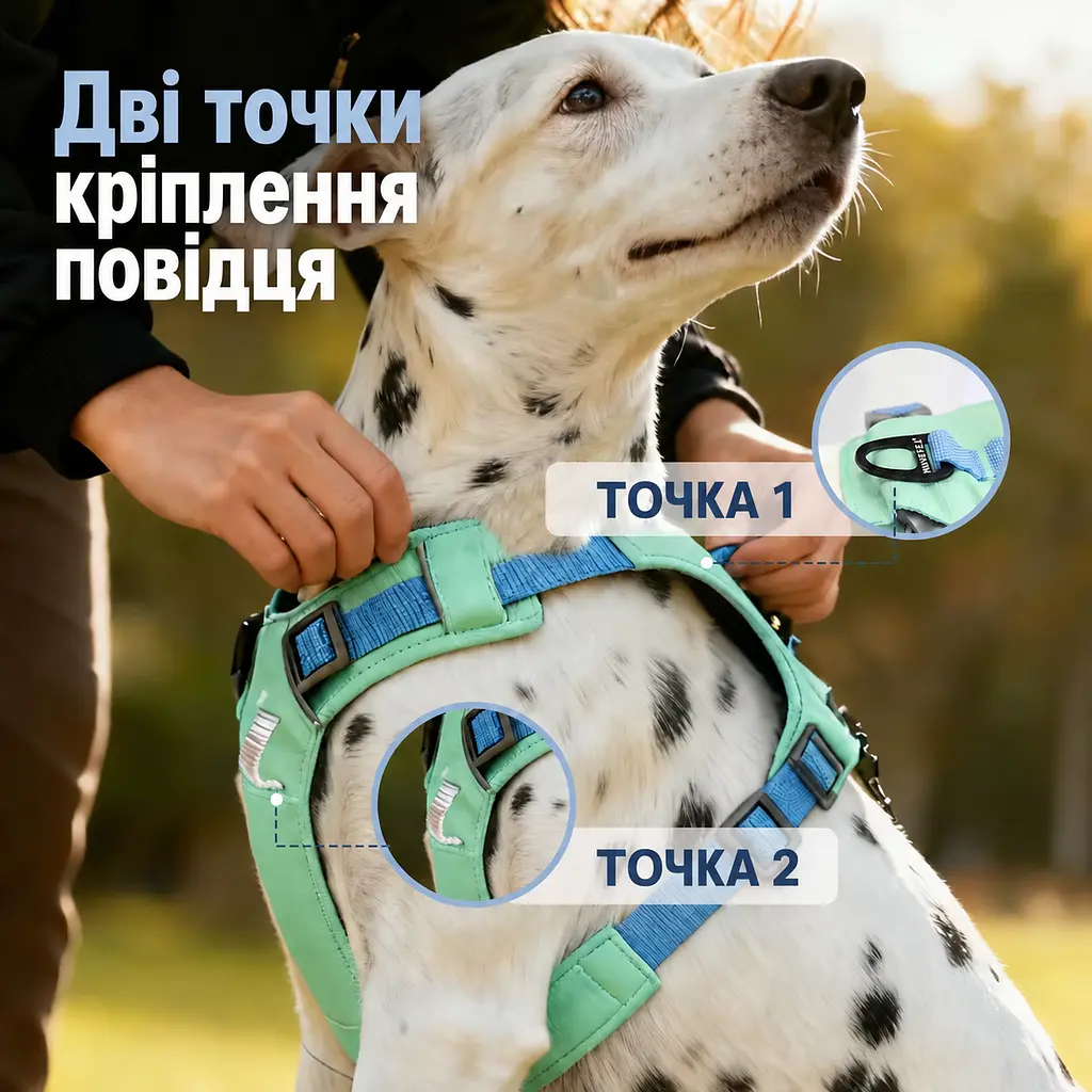 Шлея для собак Nunbell No-Pull з повідцем, регульована та світловідбивна XL, Зелений - фото 6