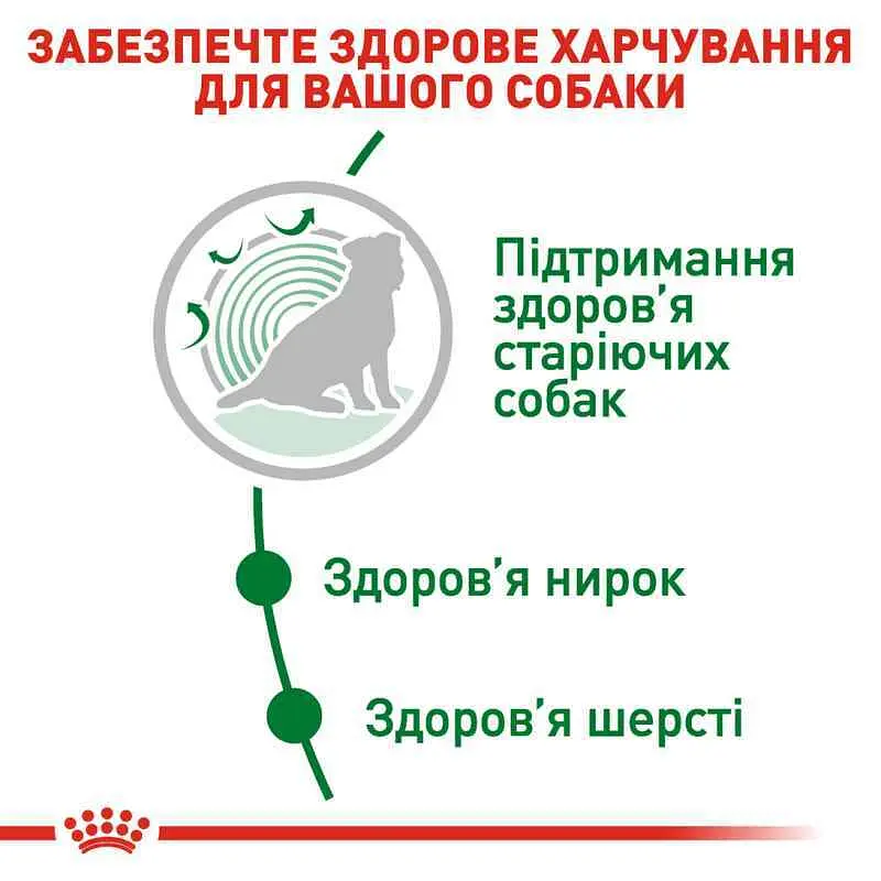 Сухий корм для собак старше 12 років Royal Canin Mini Ageing 12+, 1,5 кг (1007015) - фото 5