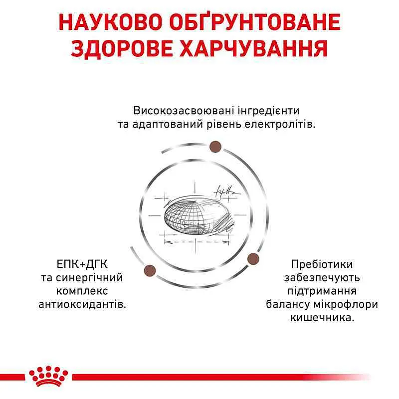 Сухий дієтичний корм для кішок Royal Canin Gastrointestinal Moderate Calorie при порушенні травлення зі зниженим вмістом калорій, 4 кг (4008040) - фото 5