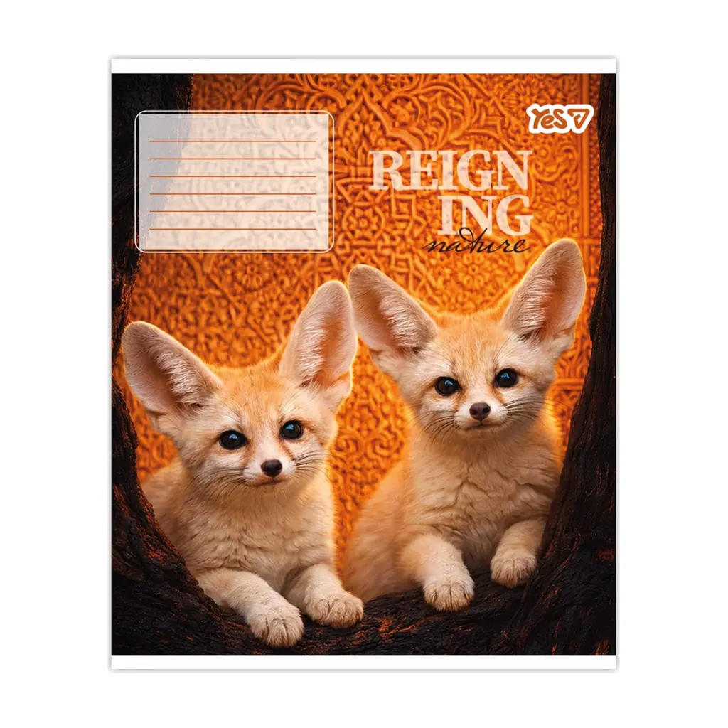 Зошит Yes Reign ing А5 48 аркушів клітинка (769096), в асортименті - фото 3