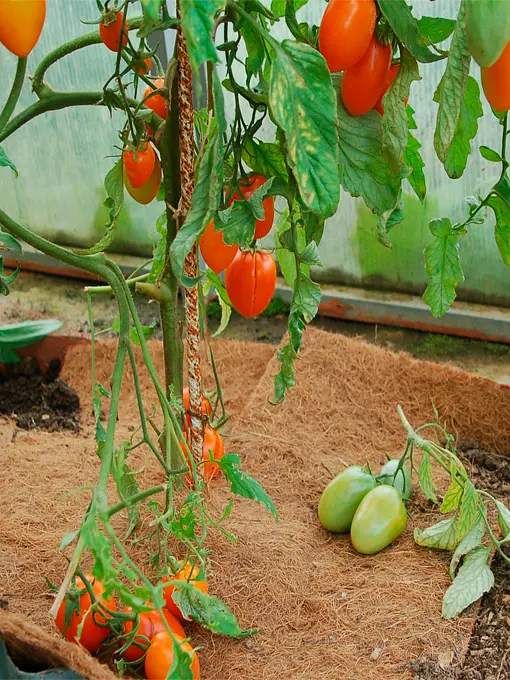 Полотно кокосовое EuroCocos с добавлением полиэфирных волокон термоскрепленных ПКТ 85.10, 120 х 60 см.  - фото 4