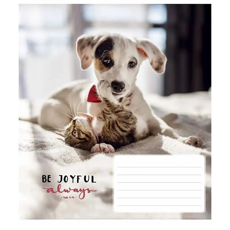 Тетрадь ученическая Be joyful always 012-3263L-3 в линию, 12 листов - фото 1