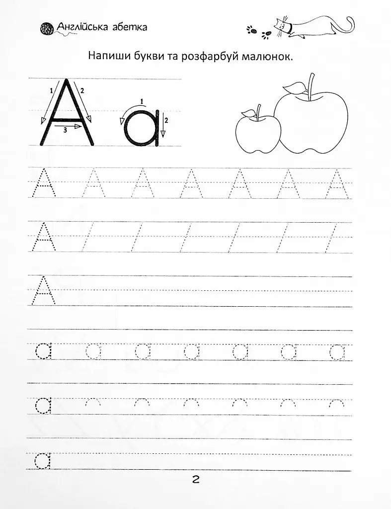 Прописи. English alphabet 4+ - - фото 3