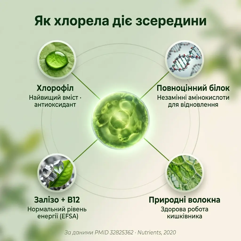 Хлорела у таблетках 250 г - фото 4