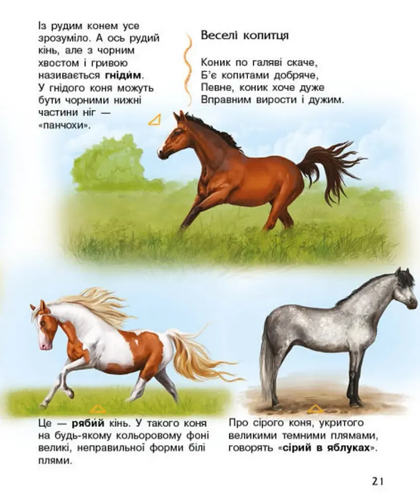 Енциклопедія дошкільника: Коні - фото 5