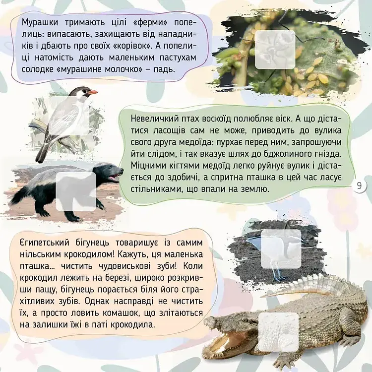 100 цікавинок. Комахи - Катерина Шаповалова - фото 5