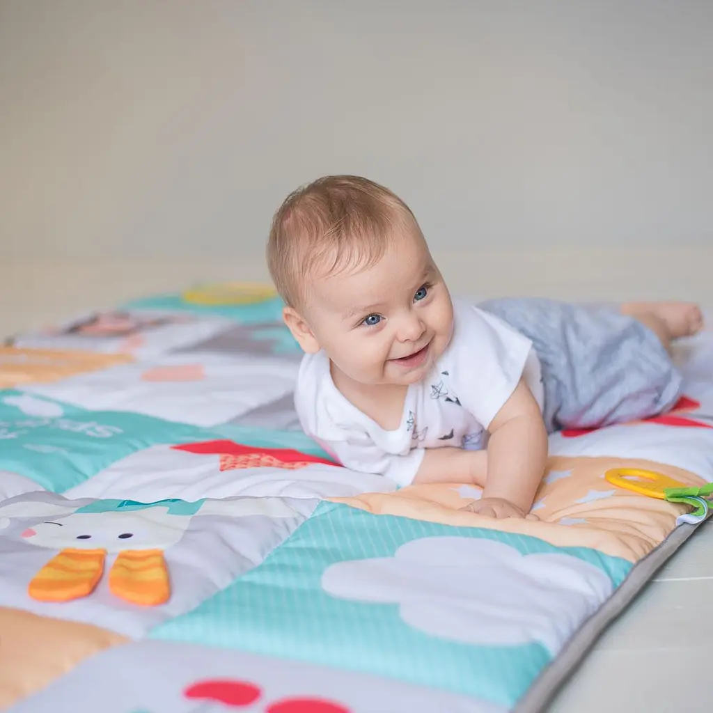 Развивающий коврик Taf Toys Мои увлечения (12175) - фото 7