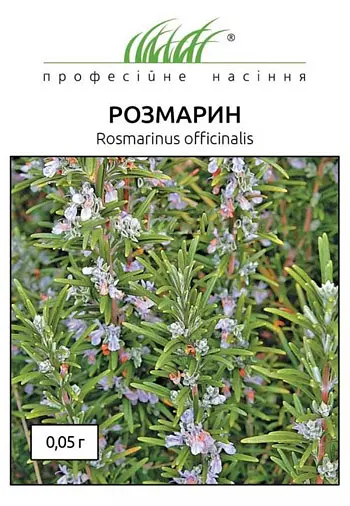Насіння Розмарину 0.05 г (Професійне насіння)