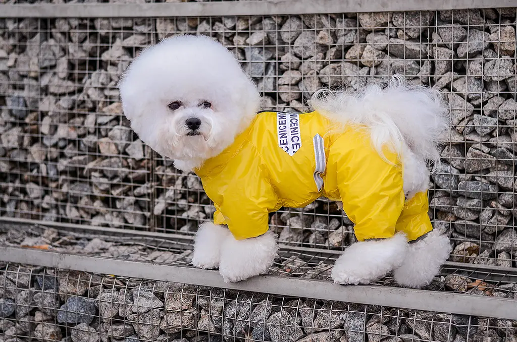Комбінезон Smart Pet Limon - фото 4