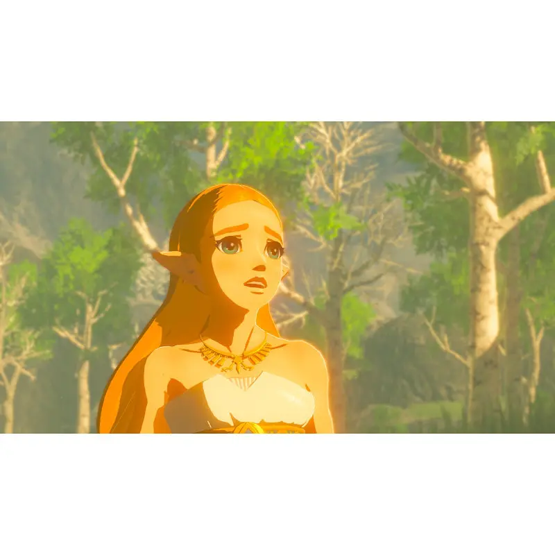 Игра Games Software Legend of Zelda: Breath of the Wild Switch - фото 4