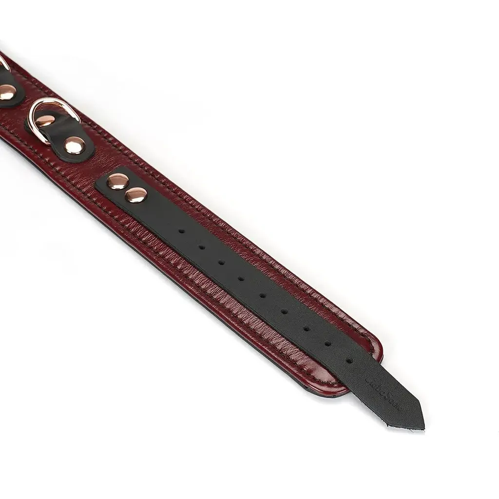 Нашийник з повідцем Liebe Seele Wine Red Collar and Leash - фото 6