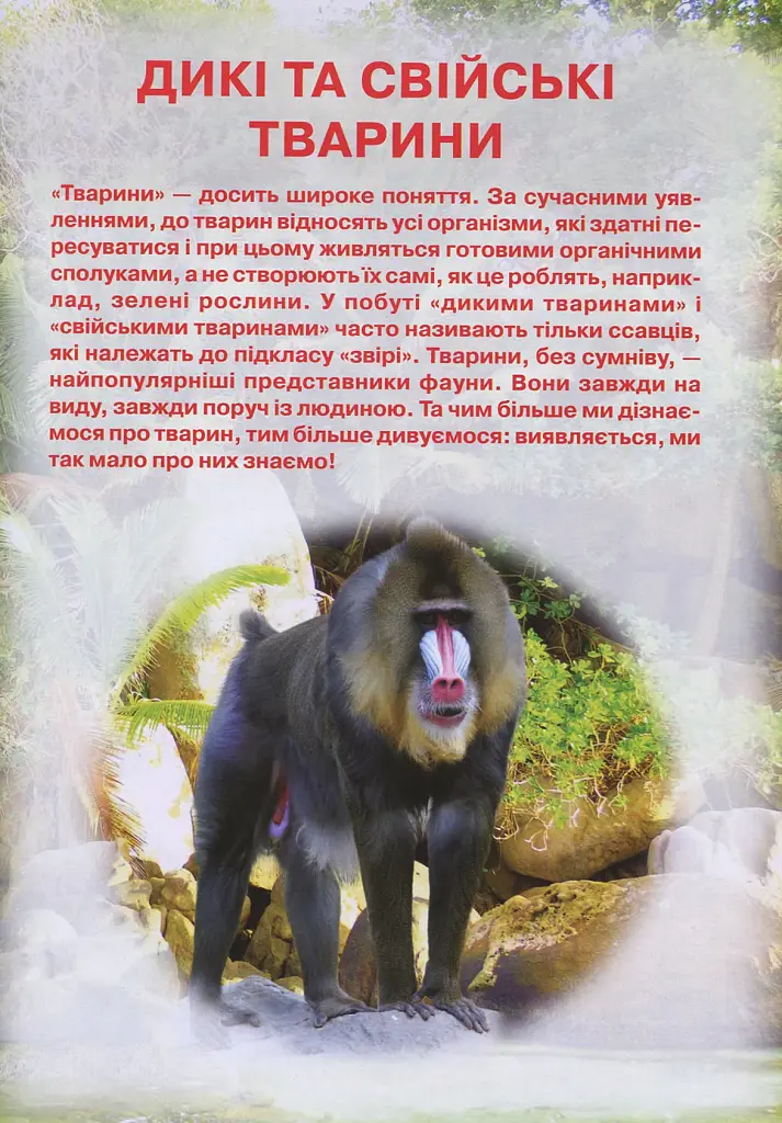 Ілюстрований атлас живої природи - фото 2