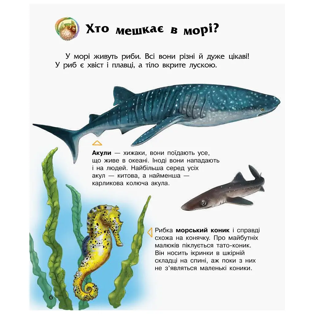 Книга Океани та моря. Енциклопедія дошкільника - Юлія Каспарова Ранок (9786170993489) - фото 6