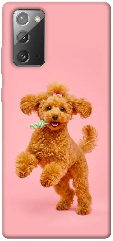 TPU чохол Demsky Happy poodle для Samsung Galaxy Note 20