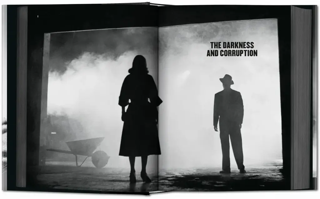 Film Noir - фото 4