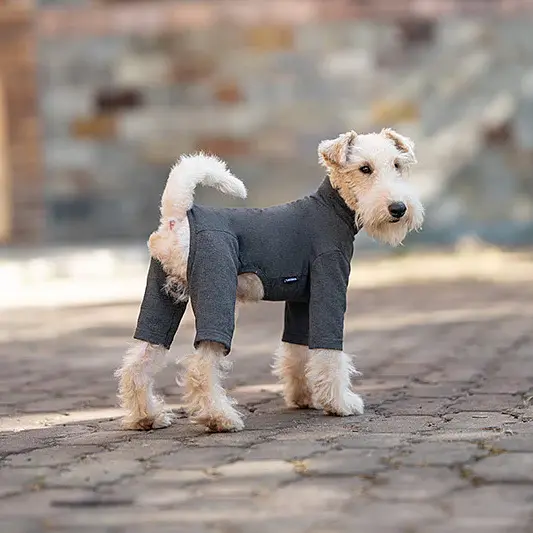 Базовий комбінезон/піжама для собак V.PET.B.R. Dog Jumpsuit CF36 Dark Grey - фото 3