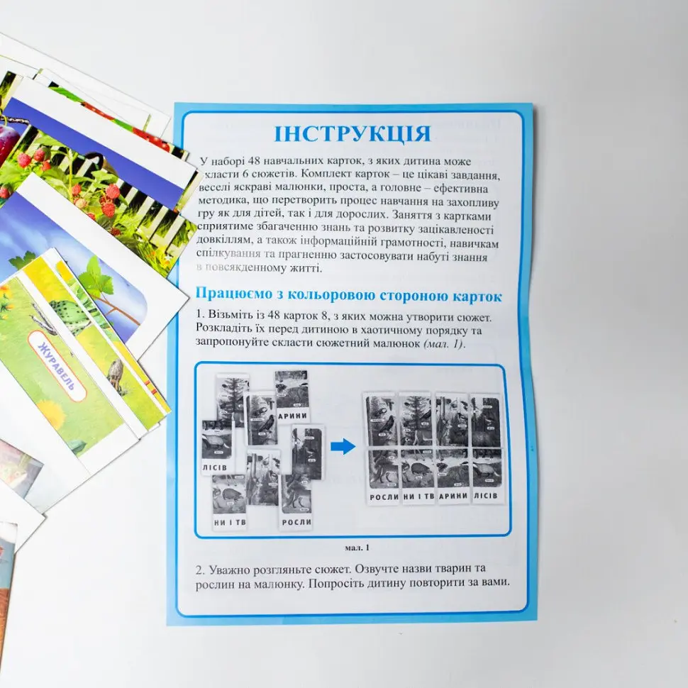 Набір тематичних карток "Екосистеми" 13169003 для дітей 4-6 років - фото 4