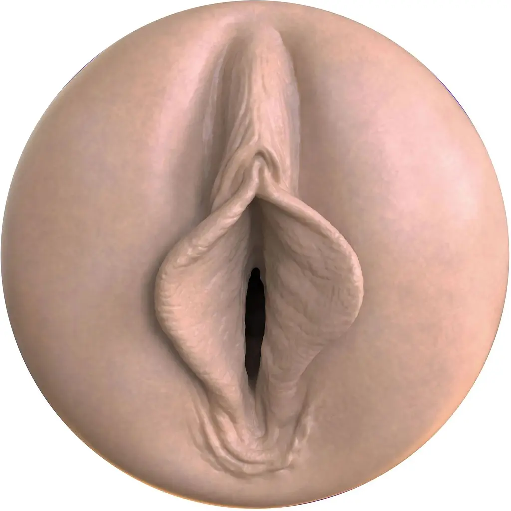 Мастурбатор-вагина Fleshlight Boost Bang - фото 4