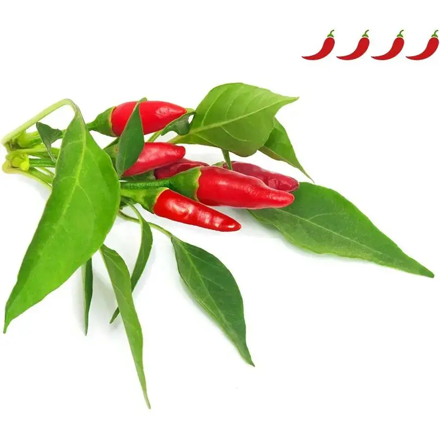 Змінний картридж Click & Grow Smart Garden Пірі-пірі чилі, 3 капсули (1401) - фото 3