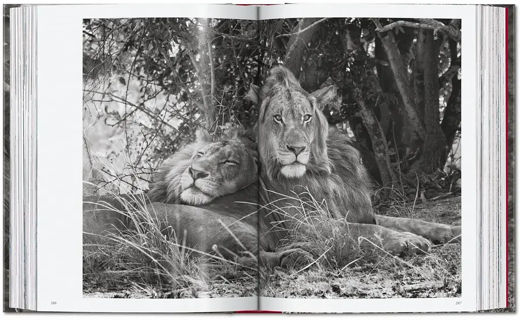 Sebastiao Salgado. Genesis. 45th Edition - фото 14