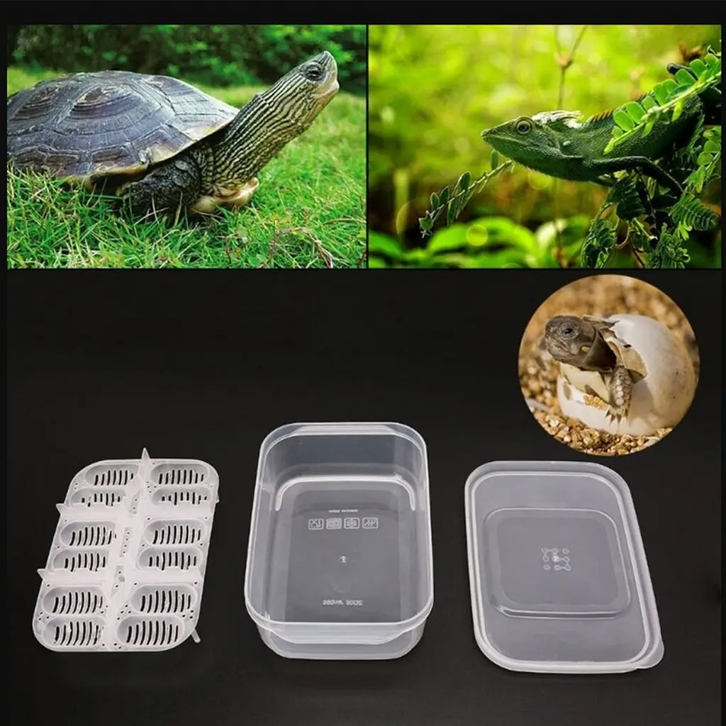 Інкубатор пластиковий Terrario EggIncubator на 12 яєць для рептилій і дрібних птахів - фото 8