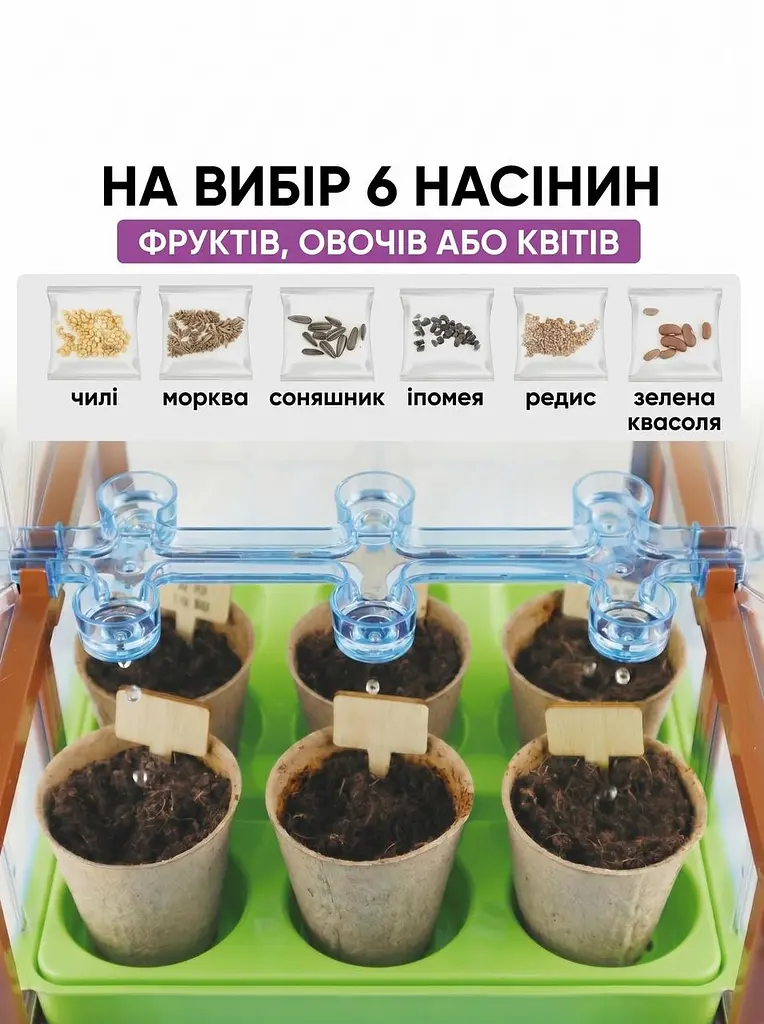 Дитячий набір для вирощування рослин з насінням: Домашня міні-теплиця, 6 видів насіння та інструменти, зелений (4805048197) - фото 7