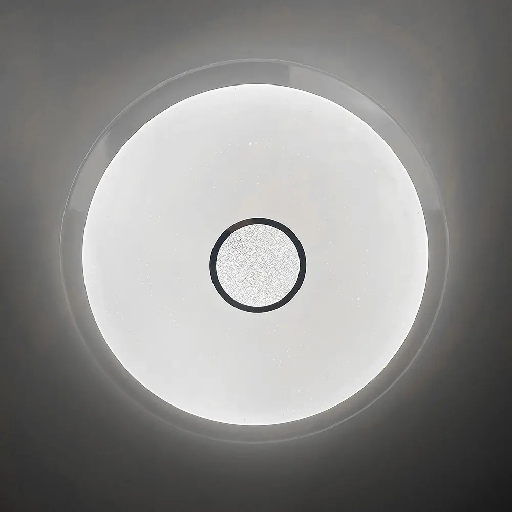 Потолочный Smart светильник со встроенными светодиодами Ø 60 см | Line F | Арт. W71189/600 dimmer - фото 10