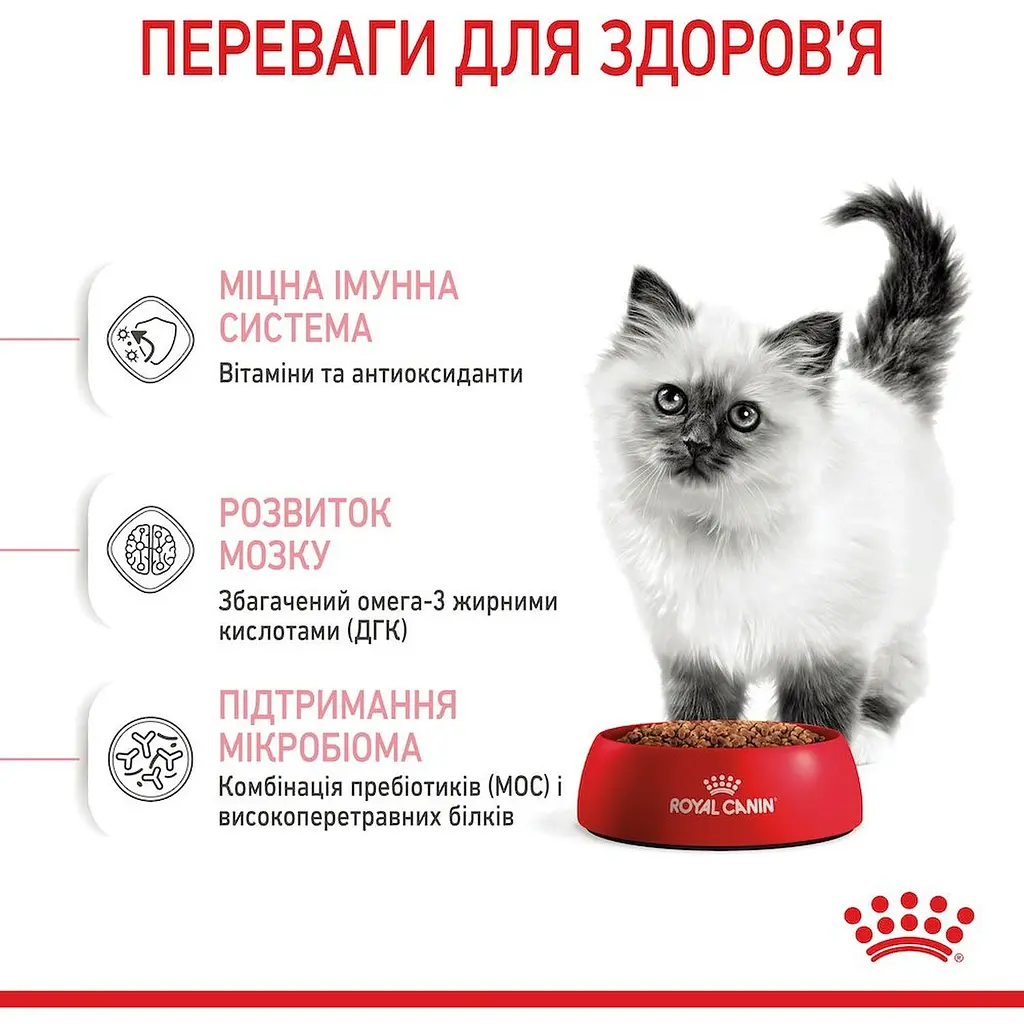 Сухой корм для котят Royal Canin Kitten мясо птицы и рис 0.4 кг - фото 4