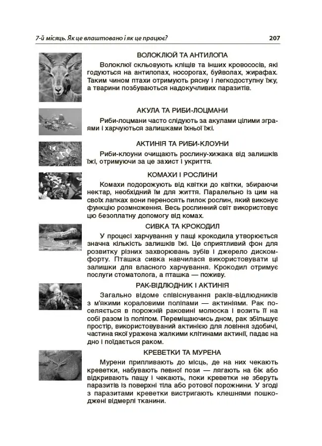 Тематичні дні у 4-му класі. Посібник для вчителя. - фото 7