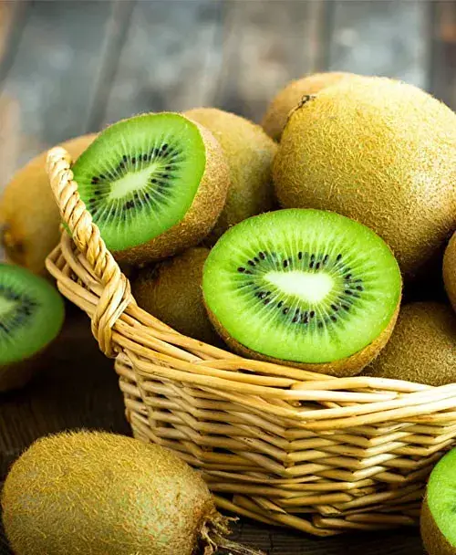 Саженец Agro-Market Киви Монти (сочный сорт с тонким ароматом ананаса) 1 шт. в упаковке (35894) - фото 1