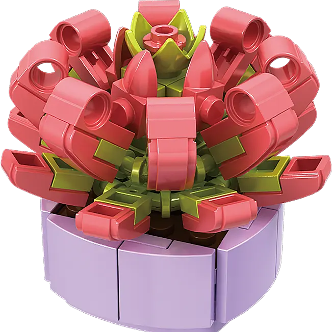 Конструктор Woma Toys Сукуленти в асортимені (8844) - фото 19