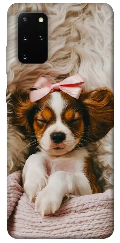TPU чохол Demsky Sleepy spaniel для Samsung Galaxy S20+