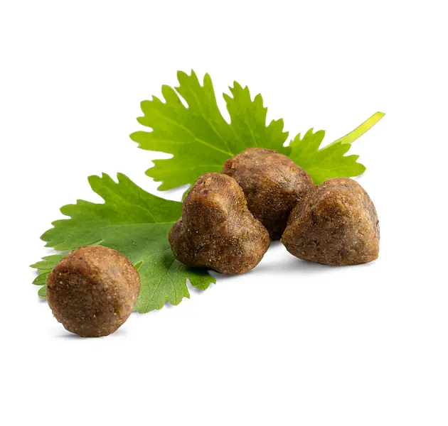 Сухой корм для взрослых кошек, обетающих в помещении Happy Cat Indoor Atlantik Lachs, со вкусом атлантического лосося, 300 г (70587) - фото 2