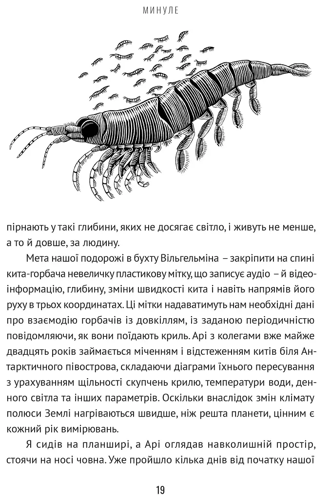 Підглядаючи за китами. Минуле, сьогодення та майбутнє найбільших у світі тварин - фото 6