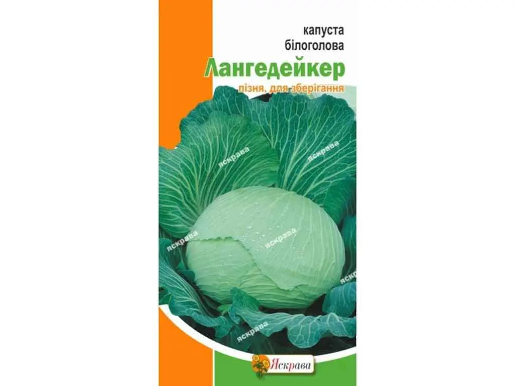 Капуста білоголова ЯСКРАВА Лангедейкер (20 пачок) 0,5 г